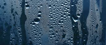 What Does Leakproof Mean in Washable Bed Mats?